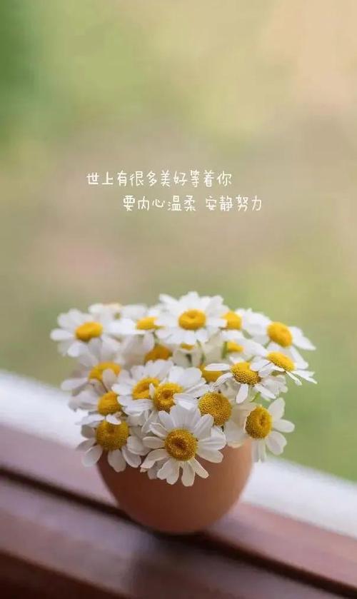正能量的句子