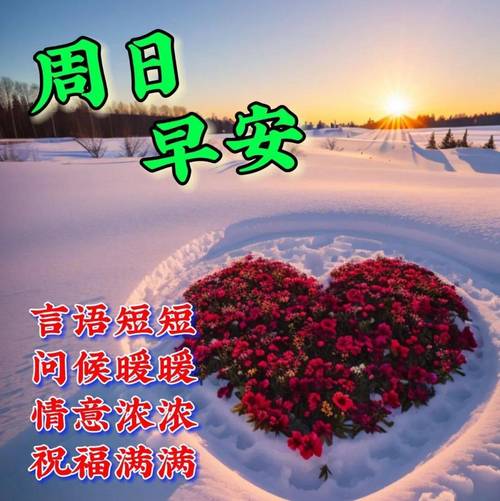 周末问候祝福语大全，早安句子