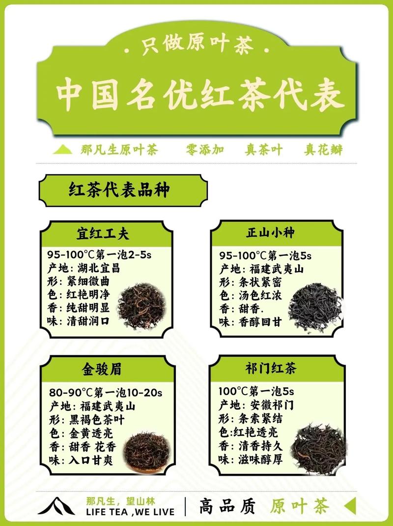 入门红茶知识大全
