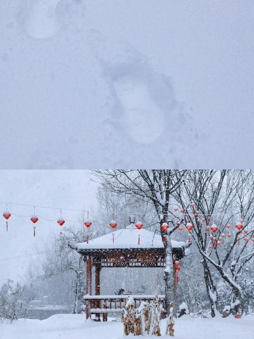 早安甘孜丨有声阅读散文《故乡-雪》