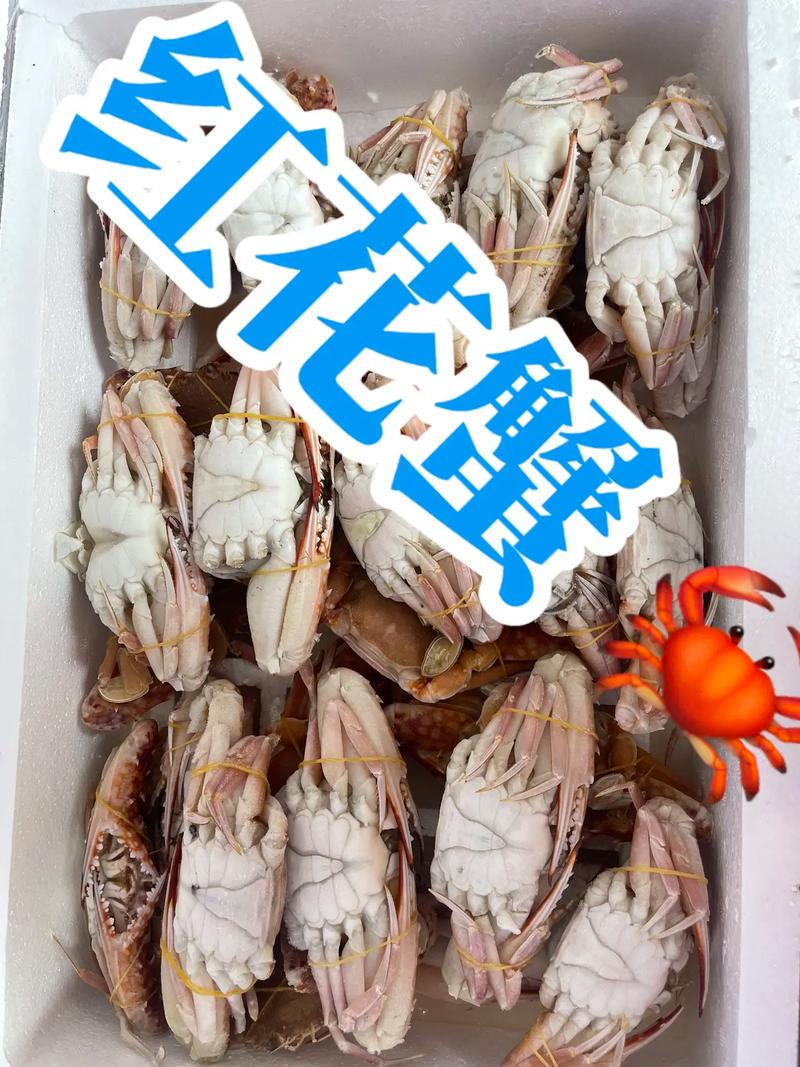 海鲜冻品批发怎么找一手货源。教你找海鲜水产冻品供应链进货渠道