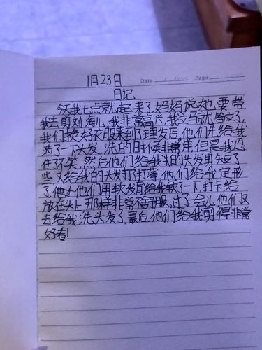 每天一篇日记扬州一语文老师带学生手写寒假生活…