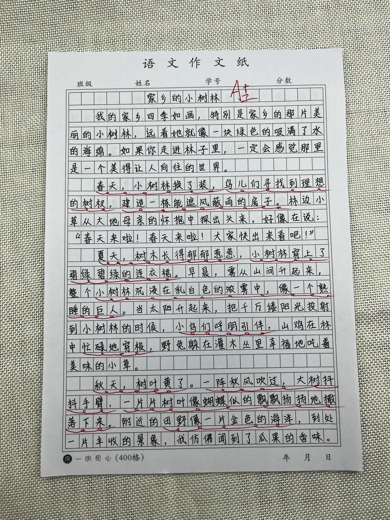 部编语文四年级上册一单元作文范文推荐一个好地方