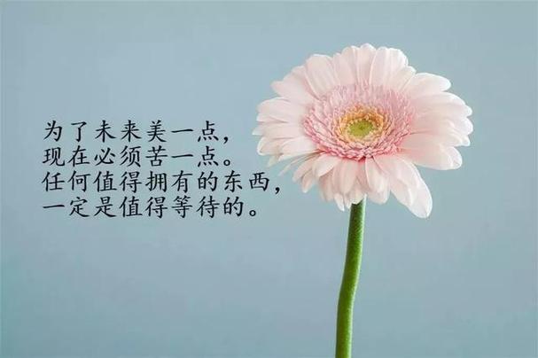 人生感悟的情感句子,经典入心的感悟短句