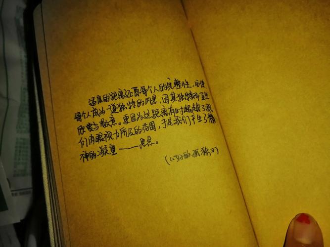 睡不着,翻出了我教书第一年写的一篇日记