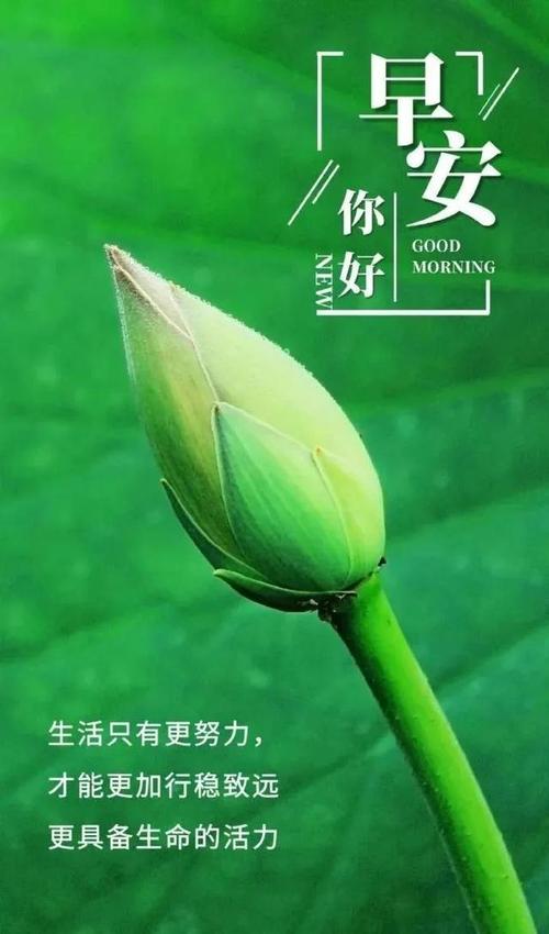 早安心语正能量的句子，励志阳光的唯美短句