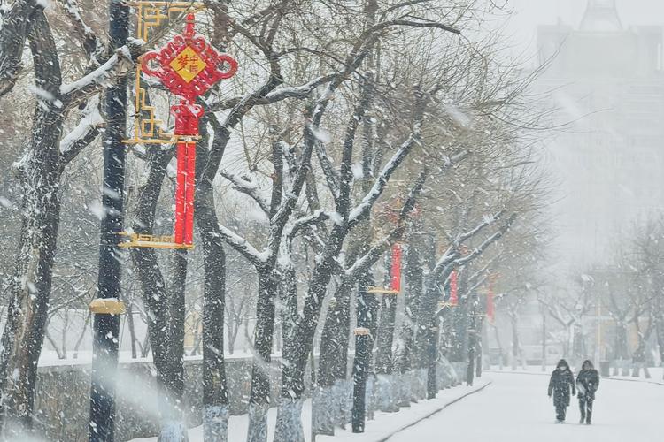 哈尔滨市一风景游览区下雪啦