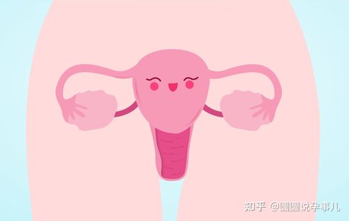 生育能力突出的女性,容易“一碰就有”,身上这些特征很明显
