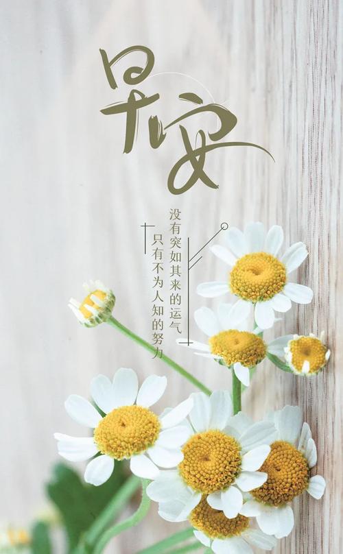 早安暖心短句,一天一句心情早安语