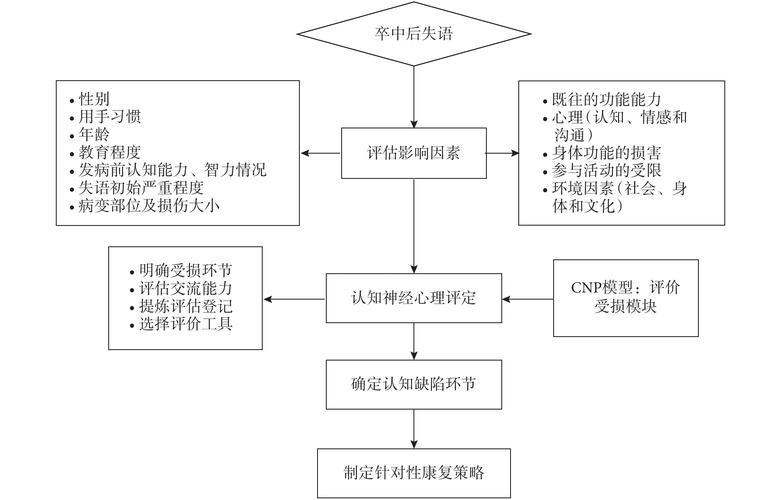 一文读懂,认知康复的基本理论、评估流程及评定方法