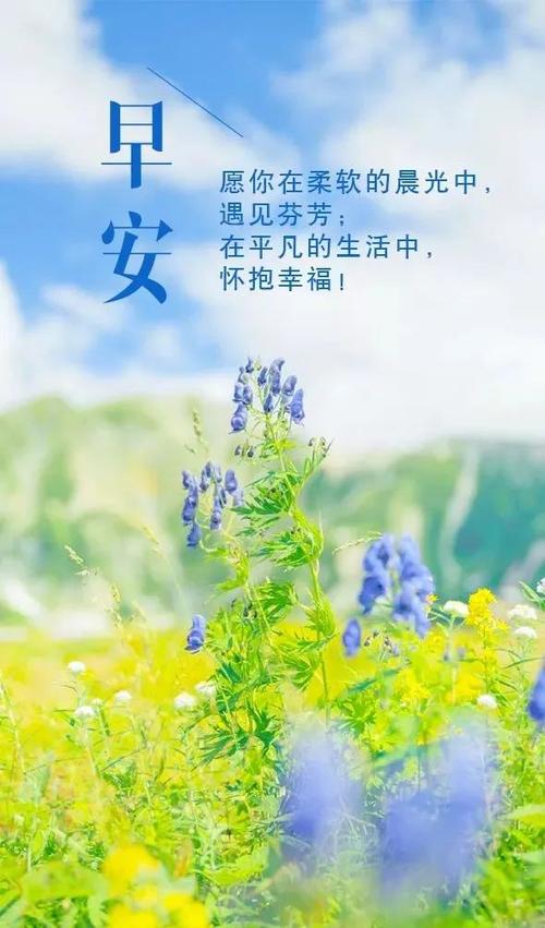 温柔干净的早安短句,暖心治愈,给你一天好心情