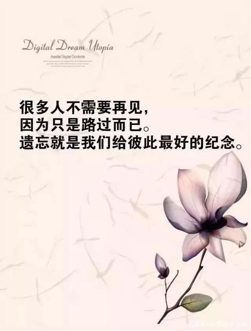 最吸引人的一句话，拿去发朋友圈吧