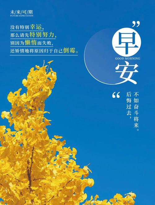 早安正能量图片文案,与其相信生活的奇迹,不如期待努力的轨迹