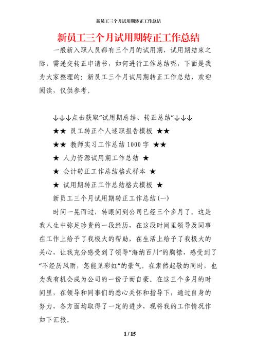 新员工试用期转正工作总结、月度工作总结