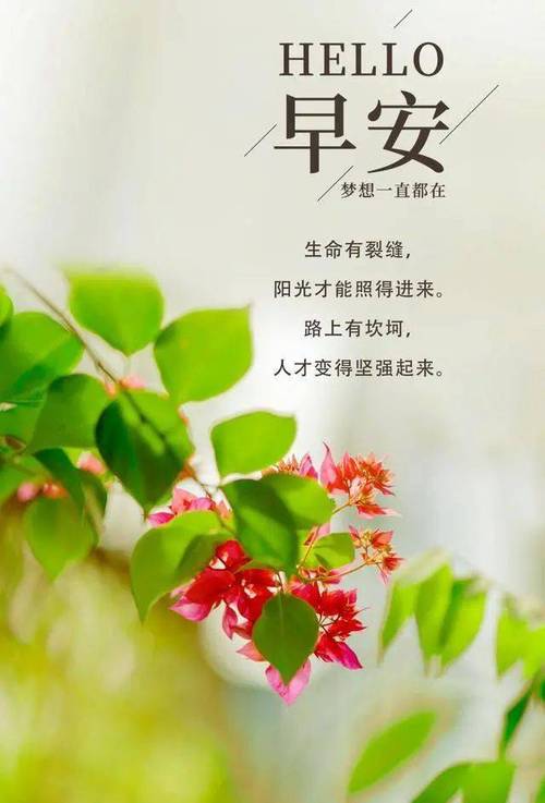 感悟人生的早安心语唯美配图10句