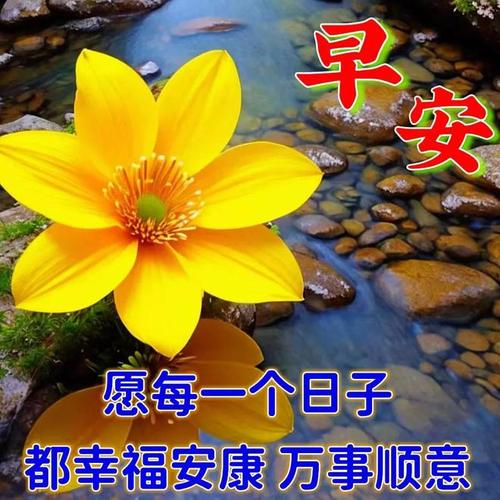 2023年8月29日秋日早安图片，精选温馨问候祝福图片