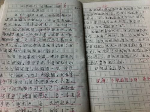 源乡周记第44周