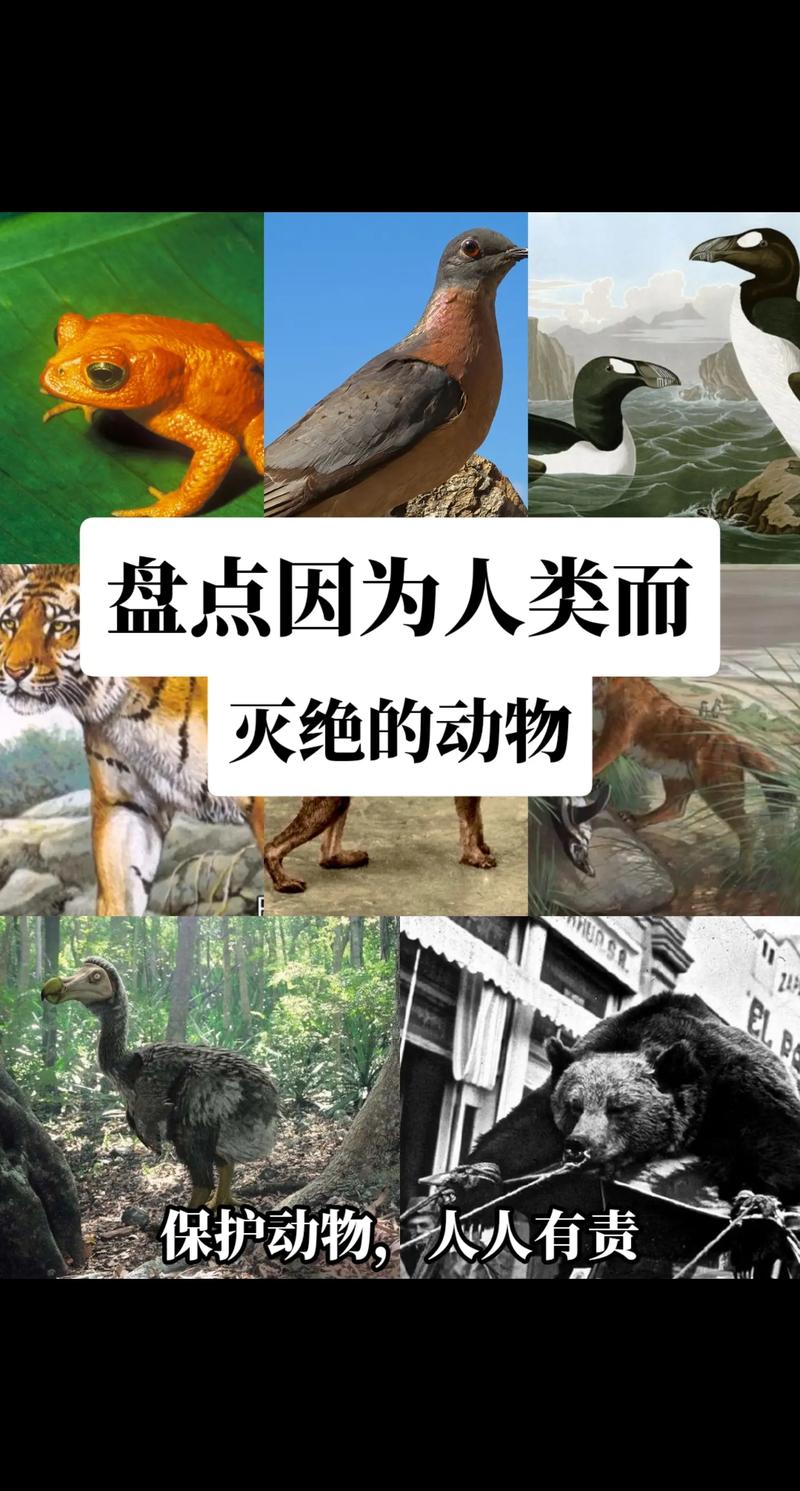 当时的人们有哪些关于灭绝动物的故事。