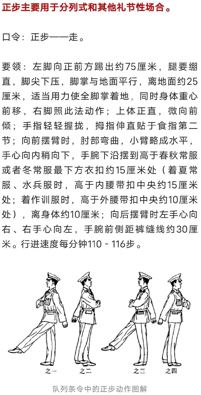 军训动作标准示范,军训动作要领大全