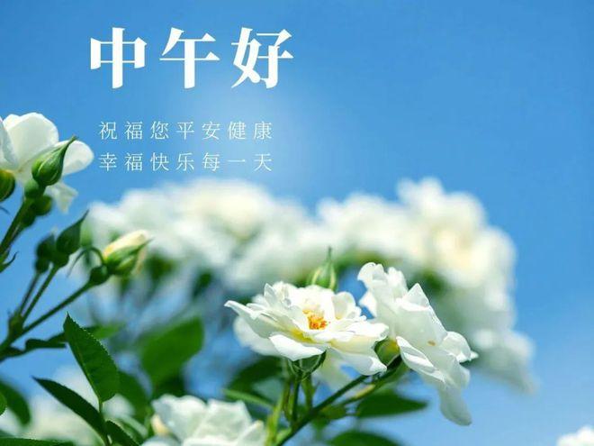中午好图片大全，午安问候图片，中午好祝福图片带字唯美