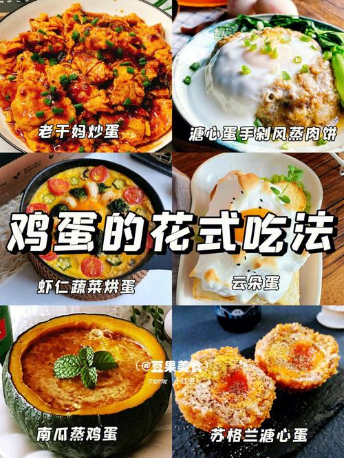探索鸡蛋的完美煮法，品味生活，感悟美食文化