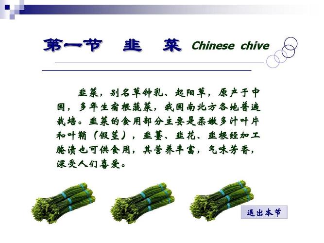 韭菜的特点是什么。