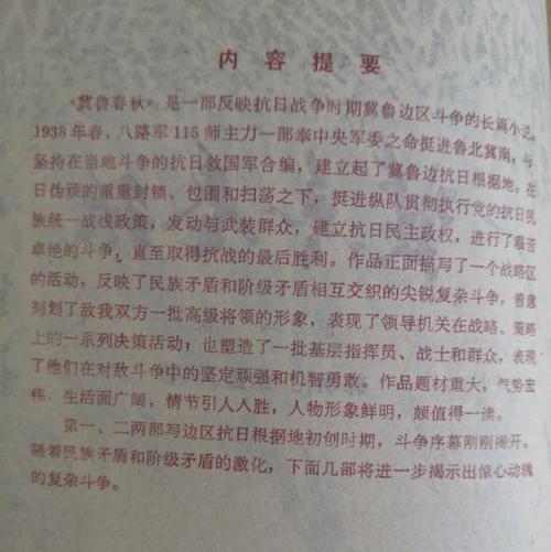 有网友称《大刀记》根本不配叫小说,那么该小说究竟写了什么。