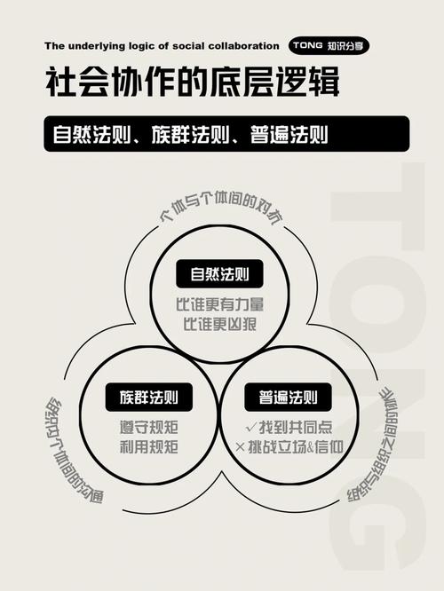 新手与老鸟,在职场中如何沟通协作。