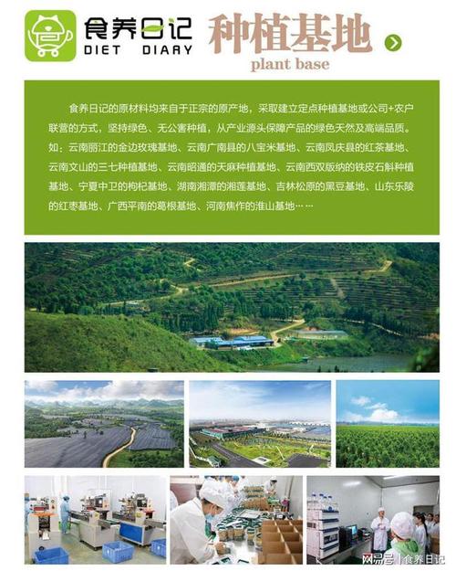 大健康项目加盟排行榜