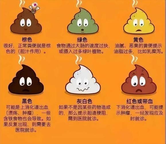 上厕所时，大便前头干硬，后头软黏，说明什么。告诉你答案
