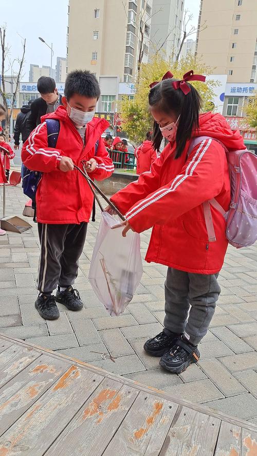 参与社区爱心活动,这群小学生用实际行动践行雷锋精神