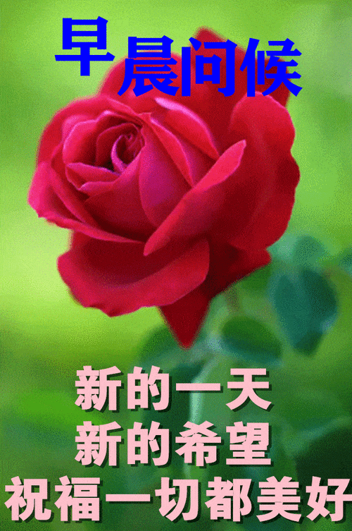 早上好图片动态表情大全,最美风景早上好美图大全