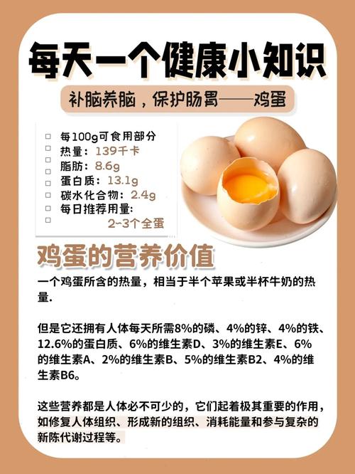 壹邦小知识每日一鸡蛋,抗肥胖促健康