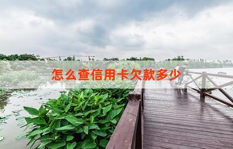 信用卡已寄出怎么查单号。还款推迟5天会有影响吗。
