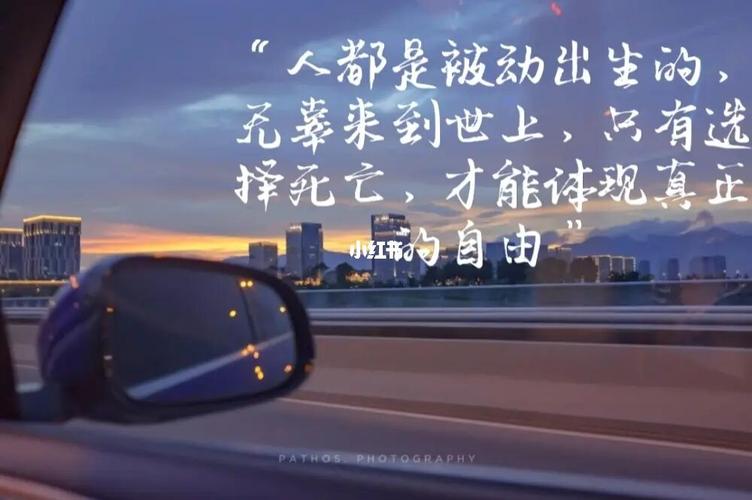 人生的意义就在于毫无意义