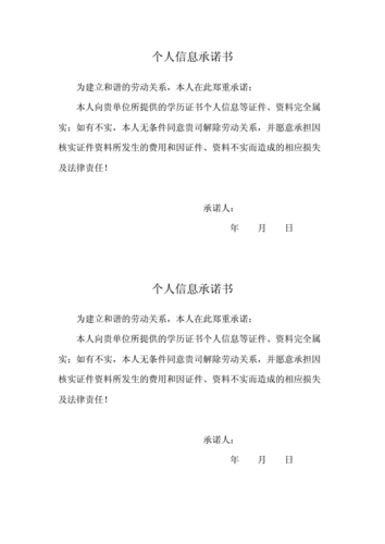 个人写承诺书的格式
