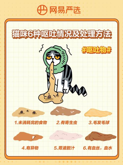 猫主子呕吐没精神不吃东西怎么办。