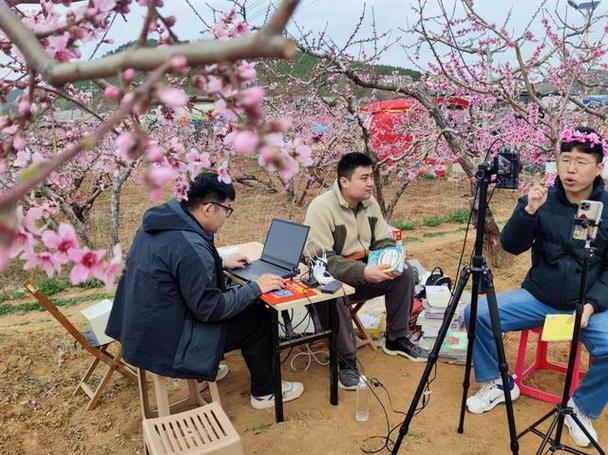 直播新体验你见过在桃花地里直播卖书吗。