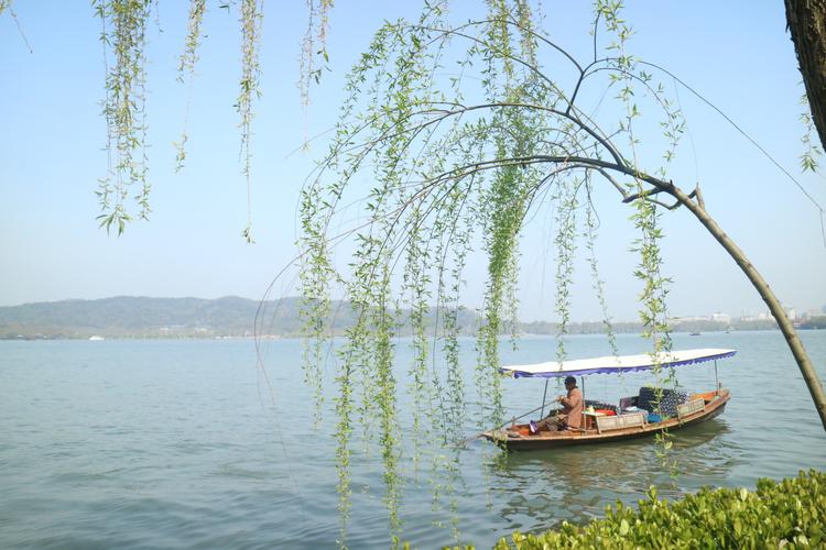 出游随拍,西湖泛舟从湖心看苏堤的美景
