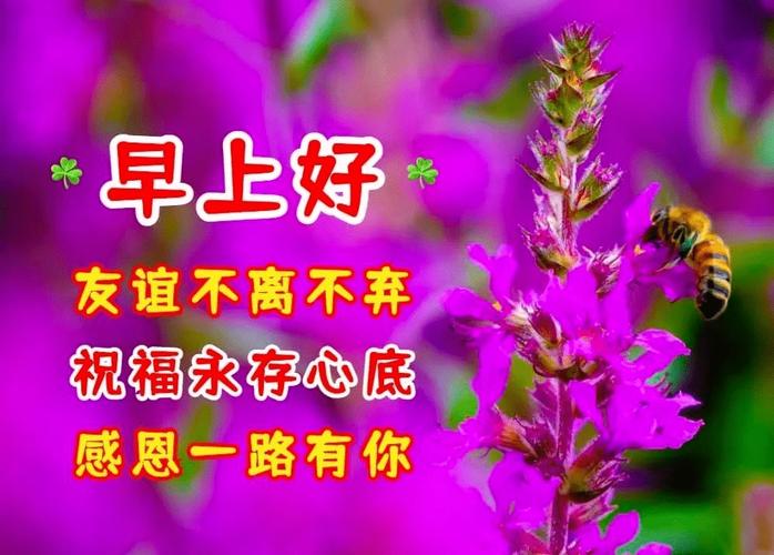 12月30日今日最新版好看的早安祝福语图片大全