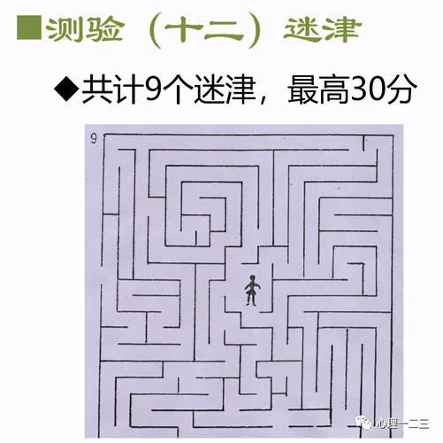 智商之谜,免费解锁公认智商测试,来探秘你的大脑潜能