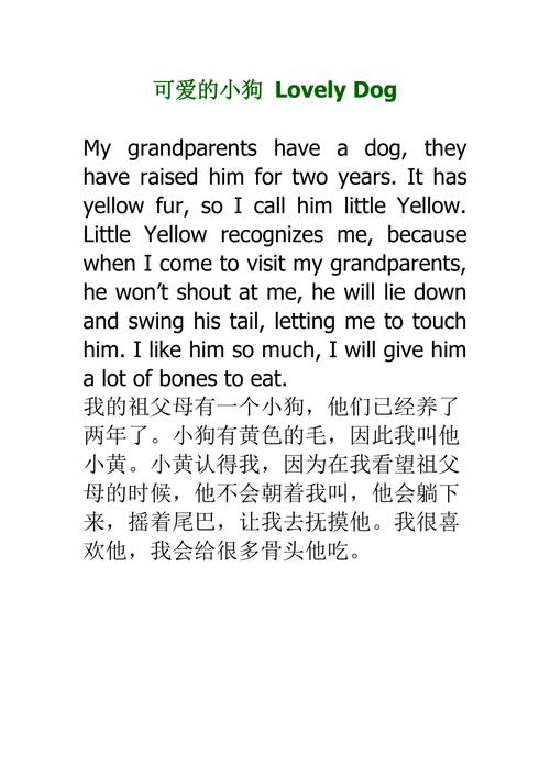 小学英语双语作文写作练习系列之一只可爱的小狗