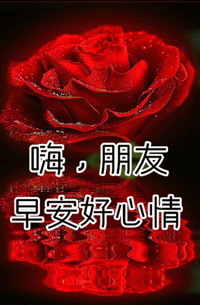 上午好,心情感悟新版祝福语图片