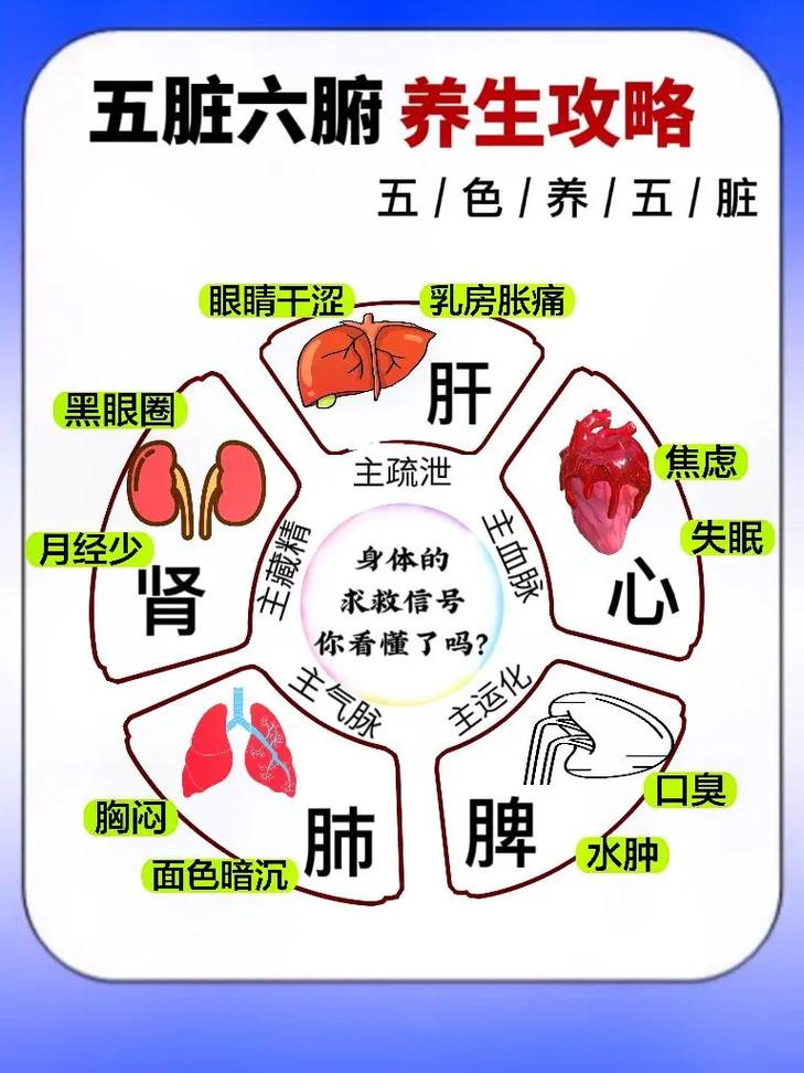 中医养生入门了解脏腑功能,做好内科护理