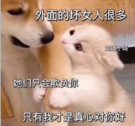 现实告诉你，别把自己看得太低，你越卑微，别人越觉得你好欺负