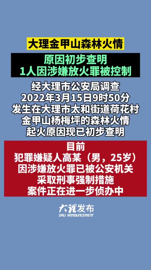 大理一地通报3起近年来失火典型案例