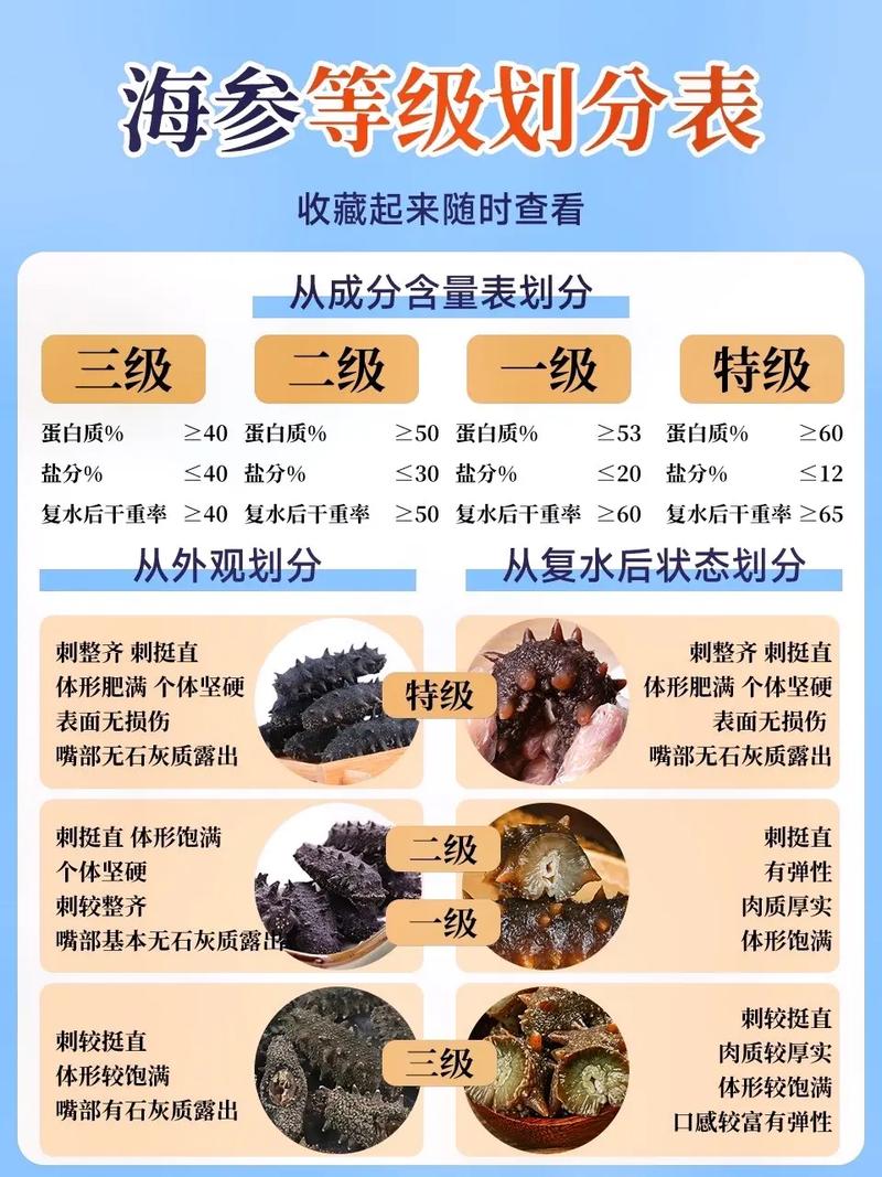 教你几招好的海参如何辨别,如何挑选好的海参,简单实用一看就会