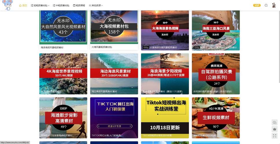 推荐一个短视频素材高清无水印下载的宝藏网站