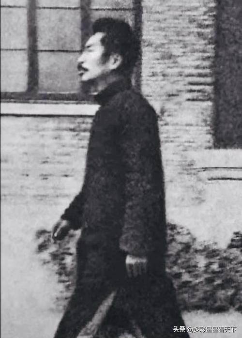 头条周末特供鲁迅孙子突然冲上热搜“我最不会的就是写作文,可他们不信”