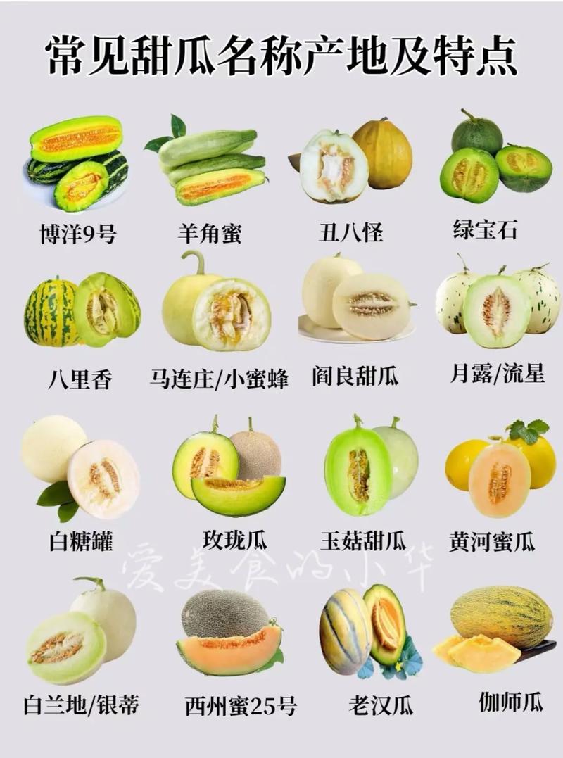 蔬菜瓜类品种大全